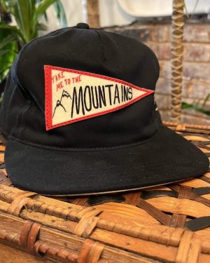 The Ampal Creative Mountains Pennant Strapback