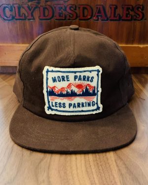 The Ampal Creative More Parks Strapback Hat
