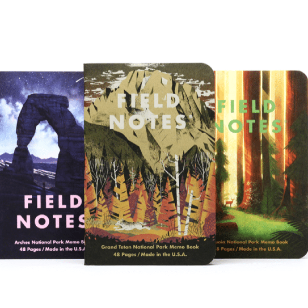 32b3b8f8 Ca8b 4ebc A996 Abab41239b7f.png